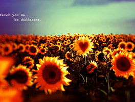 ddos攻击防御手段